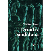 Druid iz Singidunuma , Vladislav Bajac